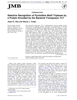 Selective Recognition of Pyrimidine Motif Triplexes by a Protein