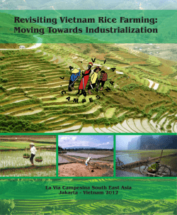 Revisiting Vietnam Rice Farming: Moving Towards Industrialization
