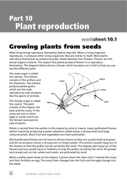 Part 10: Plant reproduction