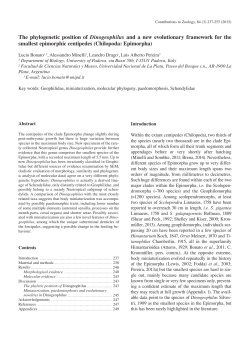 The phylogenetic position of Dinogeophilus and a new evolutionary