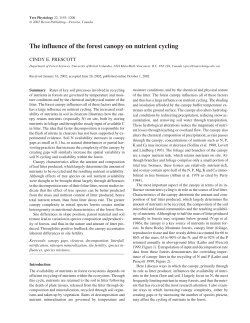 The influence of the forest canopy on nutrient cycling