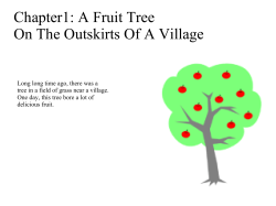 Chapter1: A Fruit Tree On The Outskirts Of A Village