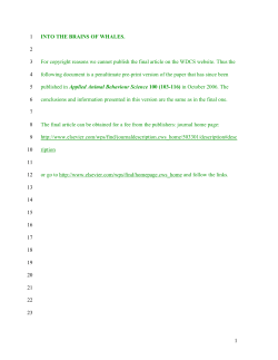 Into the Brains of Whales - Whale and Dolphin Conservation