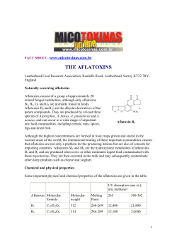 the aflatoxins