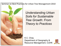 Understanding Urban Soils for Sustainable Tree Growth