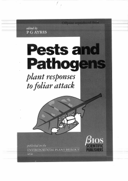 plant responses to foliar attac
