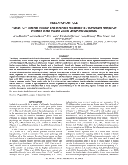 Human IGF1 extends lifespan and enhances resistance to