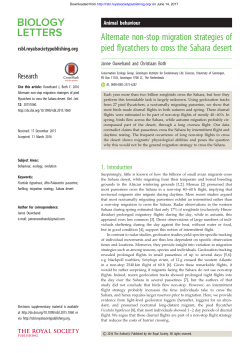 Alternate non-stop migration strategies of pied flycatchers to cross
