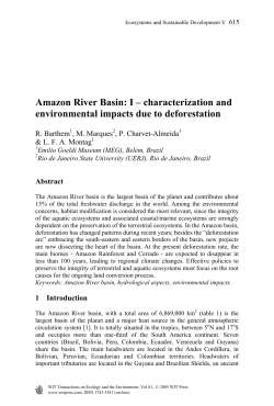 Amazon River Basin: I &ndash; characterization and