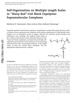 "Hairy Rod"-Coil Block Copolymer Supramolecular