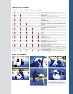 Technical Fouls - Budo Mixed Martial Arts