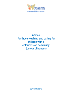 Advice for those teaching and caring for children with a colour vision