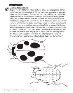 Learning About Insects Display the six different insect