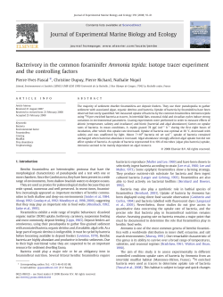Bacterivory in the common foraminifer Ammonia tepida: Isotope