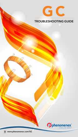 GC Troubleshooting Guide