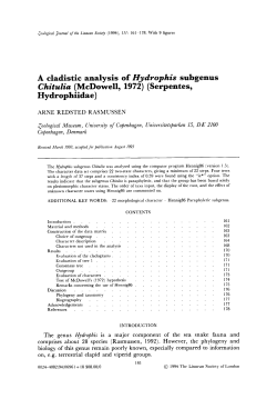 A cladistic analysis of Hydrophis subgenus Chitulia