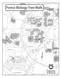 Forest Biology Tree Walk