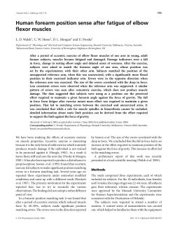 Human forearm position sense after fatigue of elbow flexor