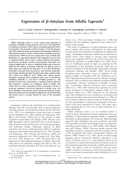 Expression of Я-Amylase from Alfalfa Taproots