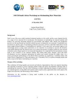 OECD/South Africa Workshop on Steelmaking Raw Materials