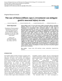 The use of Onion (Allium cepa L.) treatment can mitigate gastric