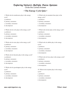 The Energy Cycle Quiz