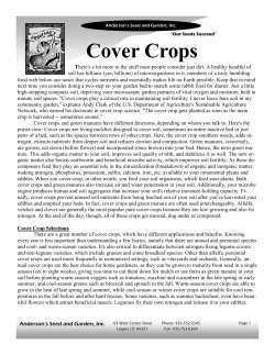 Cover Crops - Anderson`s Seed and Garden