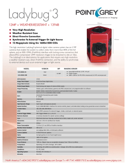 FLIRLADYBUG&reg;3 1394b