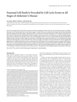 Neuronal Cell Death Is Preceded by Cell Cycle Events at All Stages