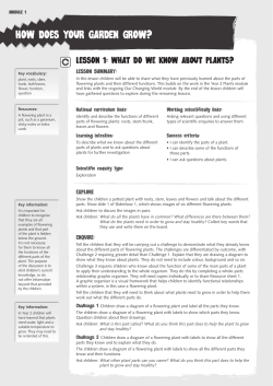 how does your garden grow?