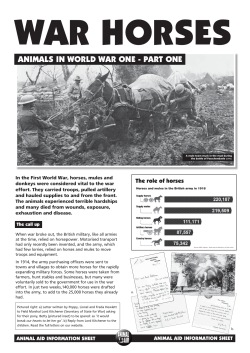 ANIMALS IN WORLD WAR ONE - PART ONE