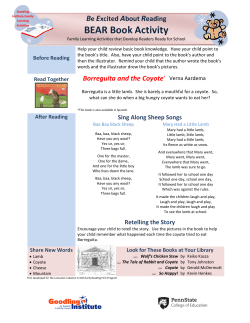 Bear Book Activity - Borreguita and the Coyote