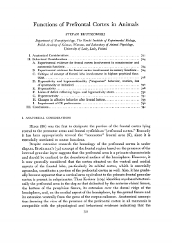 Functions of Prefrontal Cortex in Animals