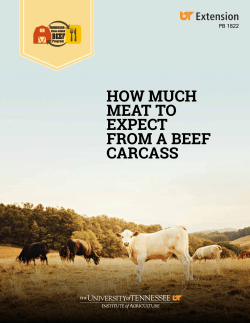 How Much Meat to Expect from a Beef Carcass