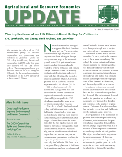 The Implications of an E10 Ethanol