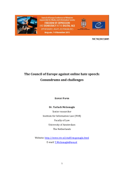 The Council of Europe against online hate speech