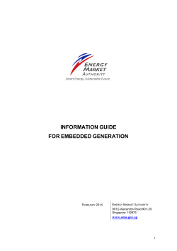 information guide for embedded generation