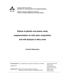 Effects of palmitic and stearic acids supplementation on milk