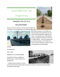 City of a Million Roses - 1937 and again in 2015!