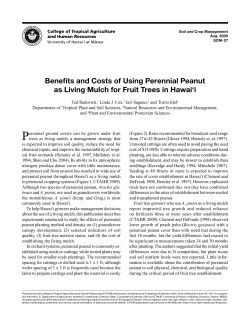 Benefits and Costs of Using Perennial Peanut as Living