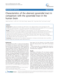 Characteristics of the aberrant pyramidal tract in comparison with the