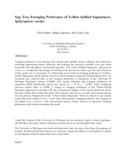 Sap Tree Foraging Preference of Yellow-bellied