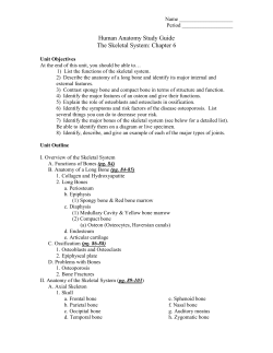Human Anatomy Study Guide The Skeletal System: Chapter 6
