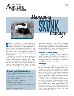 Disease Transmission Damage Biology and Reproduction