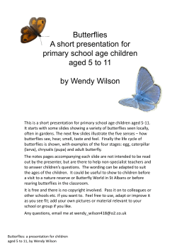 BUTTERFLIES a presentation for children aged 5 to 11