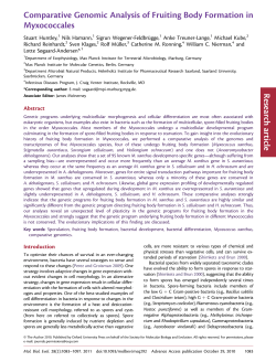Comparative Genomic Analysis of Fruiting Body Formation in