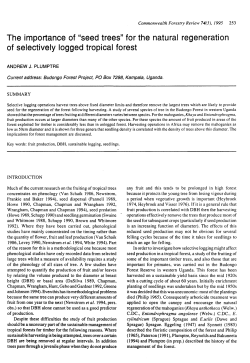 The importance of "seed trees" for the natural regeneration of