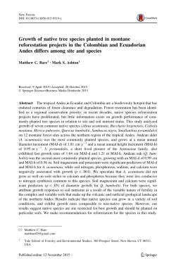 Growth of native tree species planted in montane reforestation
