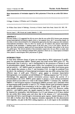 Direct demonstration of termination signals for RNA polymerase II