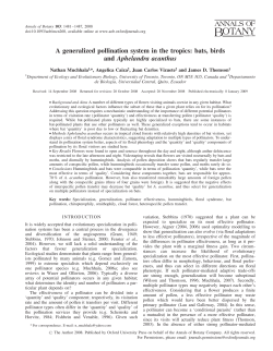 A generalized pollination system in the tropics